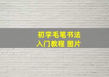 初学毛笔书法入门教程 图片